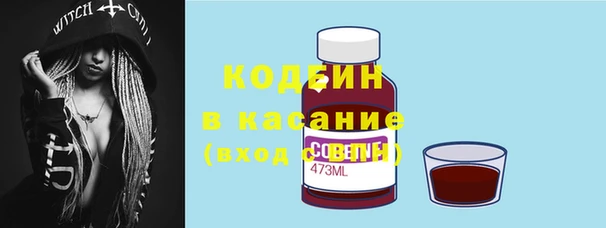 2c-b Новозыбков