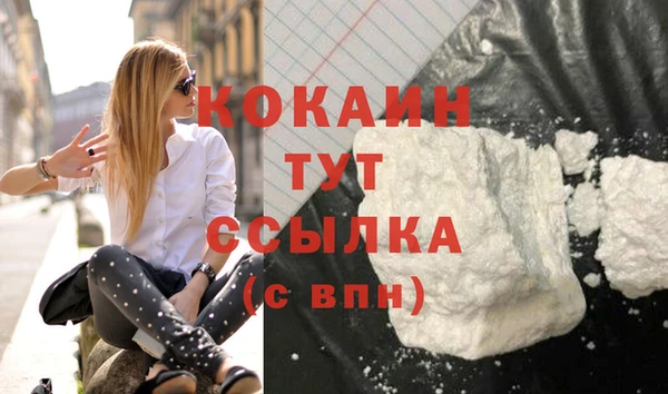 спайс Новодвинск