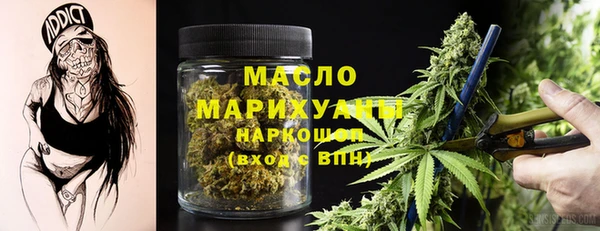 2c-b Новозыбков