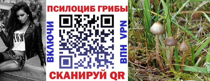 Псилоцибиновые грибы Magic Shrooms  Заволжье 