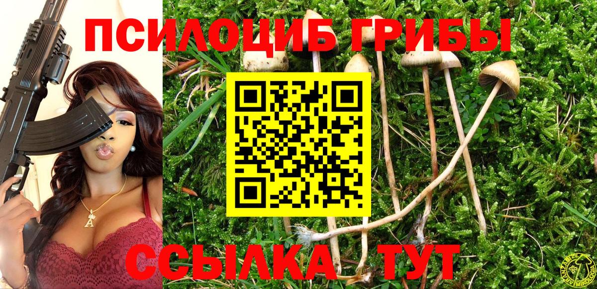 Псилоцибиновые грибы мицелий Заволжье