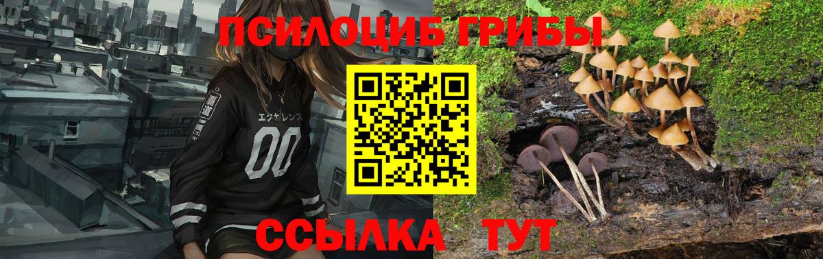 Галлюциногенные грибы GOLDEN TEACHER  Заволжье  Псилоцибиновые грибы GOLDEN TEACHER 