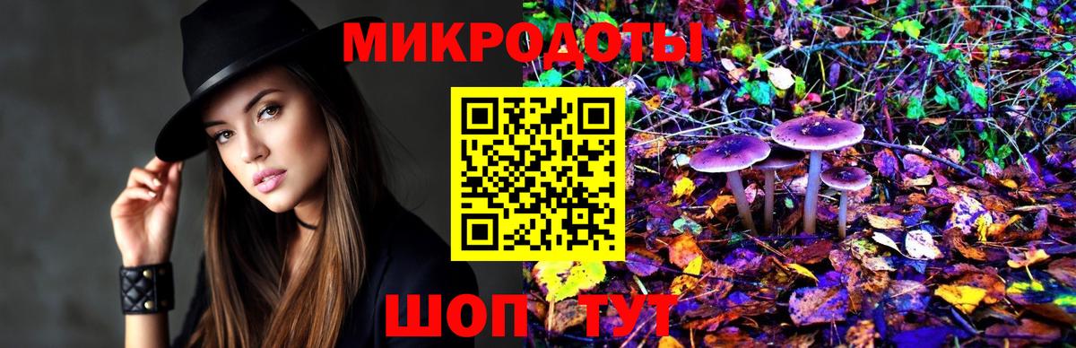 Псилоцибиновые грибы мицелий Заволжье